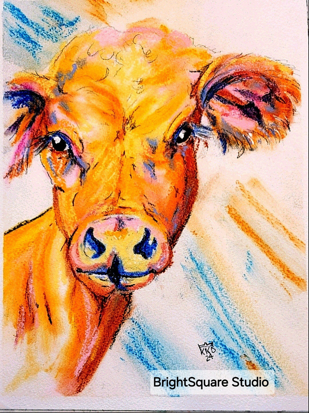 Mooana, Tropical Cow