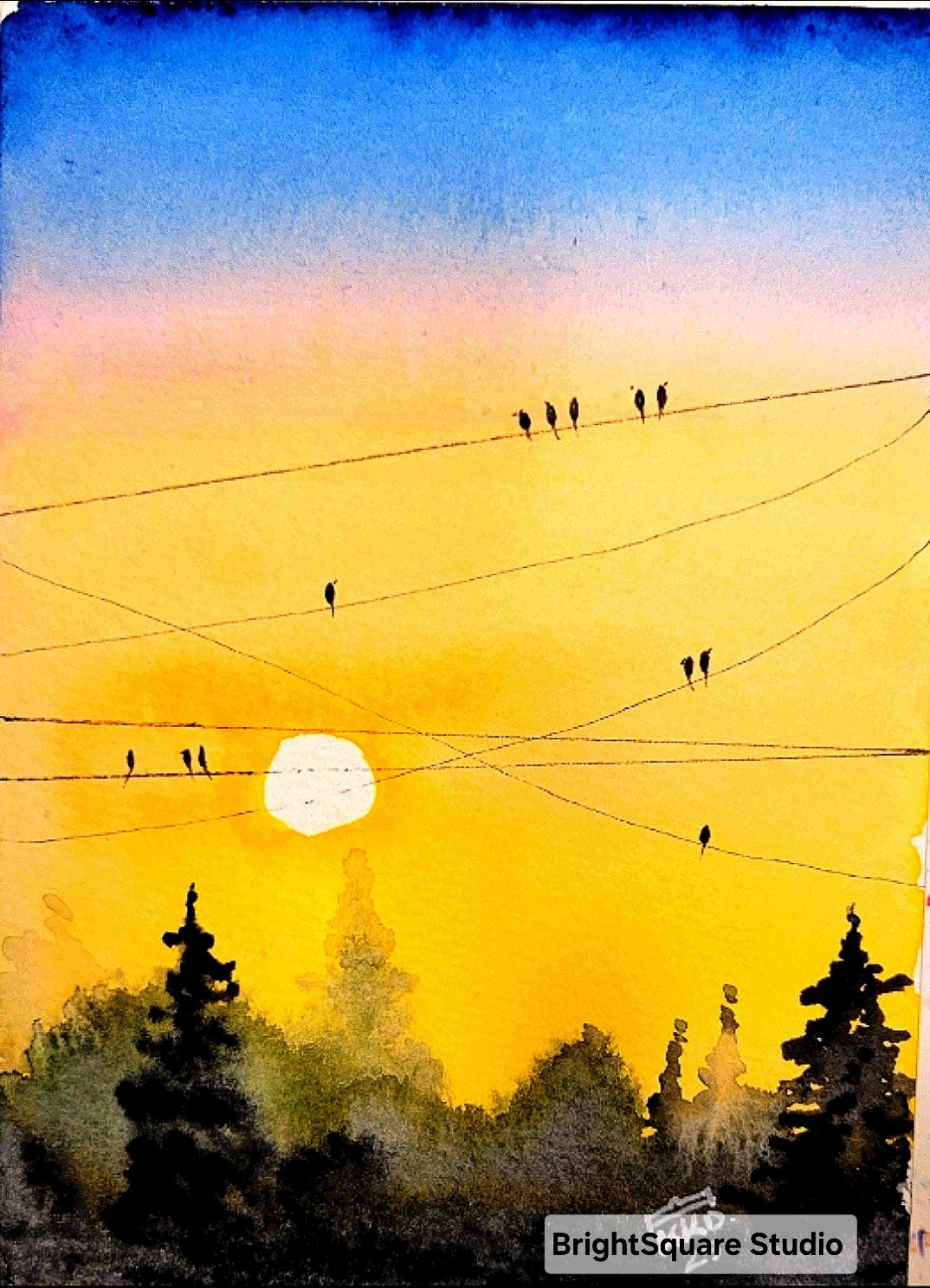 Summer evening