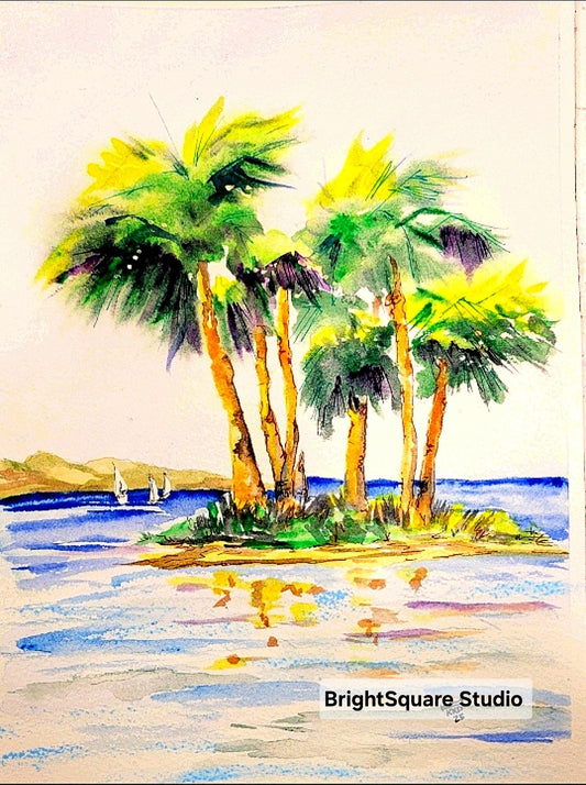 Spring sun on the palms
