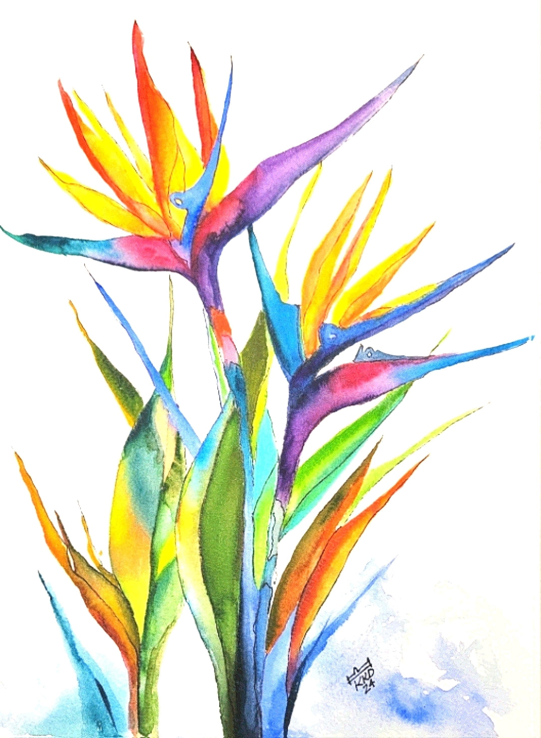 Bright Bird of Paradise