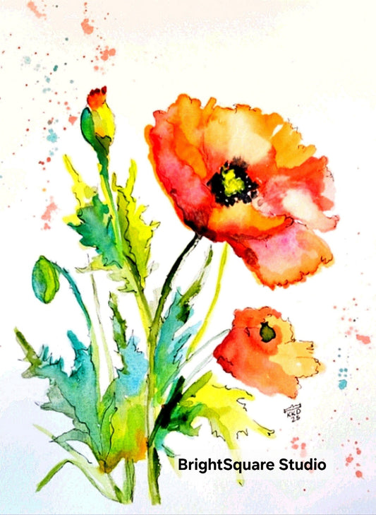 Pretty poppies
